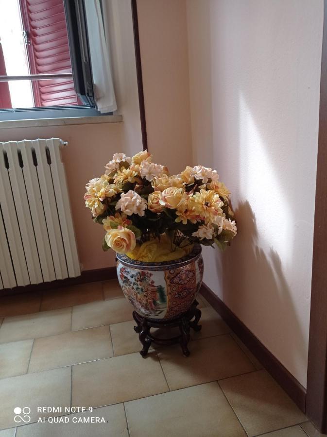 Willa La Casa Di Terry Bergamo Zewnętrze zdjęcie